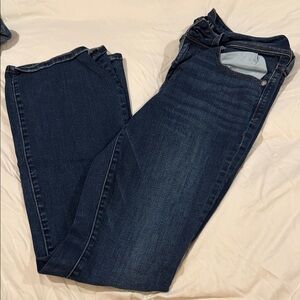 American Eagle Outfitters Dark Blue Straight-Leg Jeans